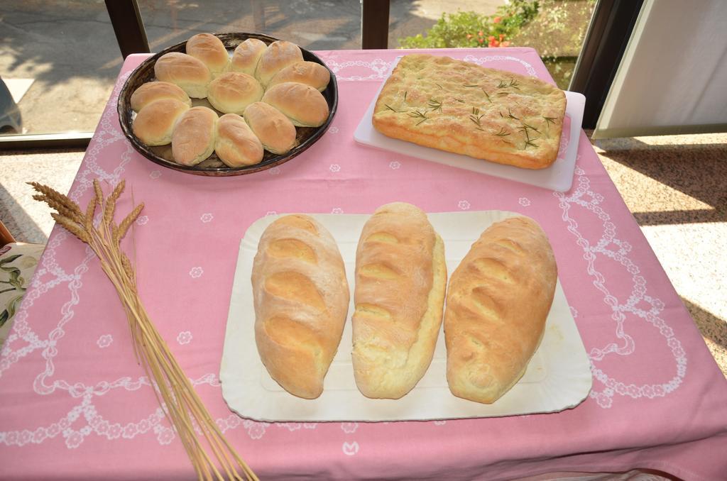Loiano Hotel Pineta מראה חיצוני תמונה