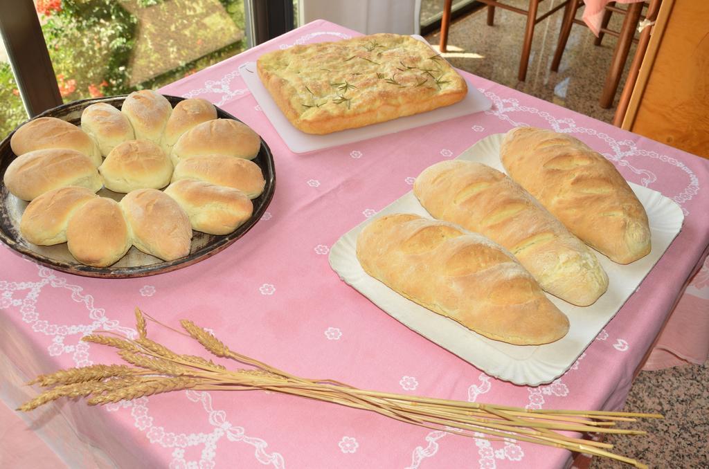 Loiano Hotel Pineta מראה חיצוני תמונה